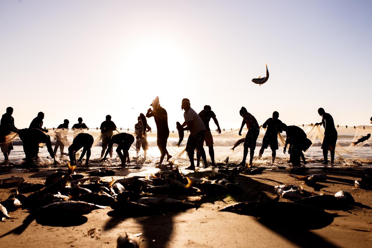 Bombinhas Summer Beach エクステリア 写真
